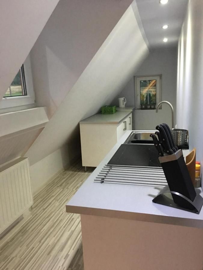 Апартаменты Apartament Stokrotka Лёндек-Здруй-13