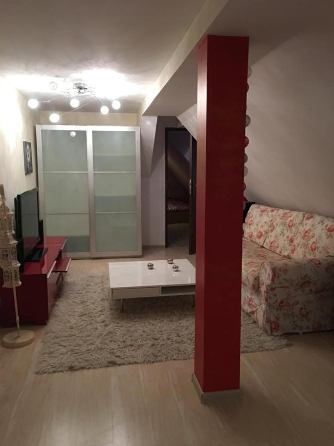 Апартаменты Apartament Stokrotka Лёндек-Здруй-16