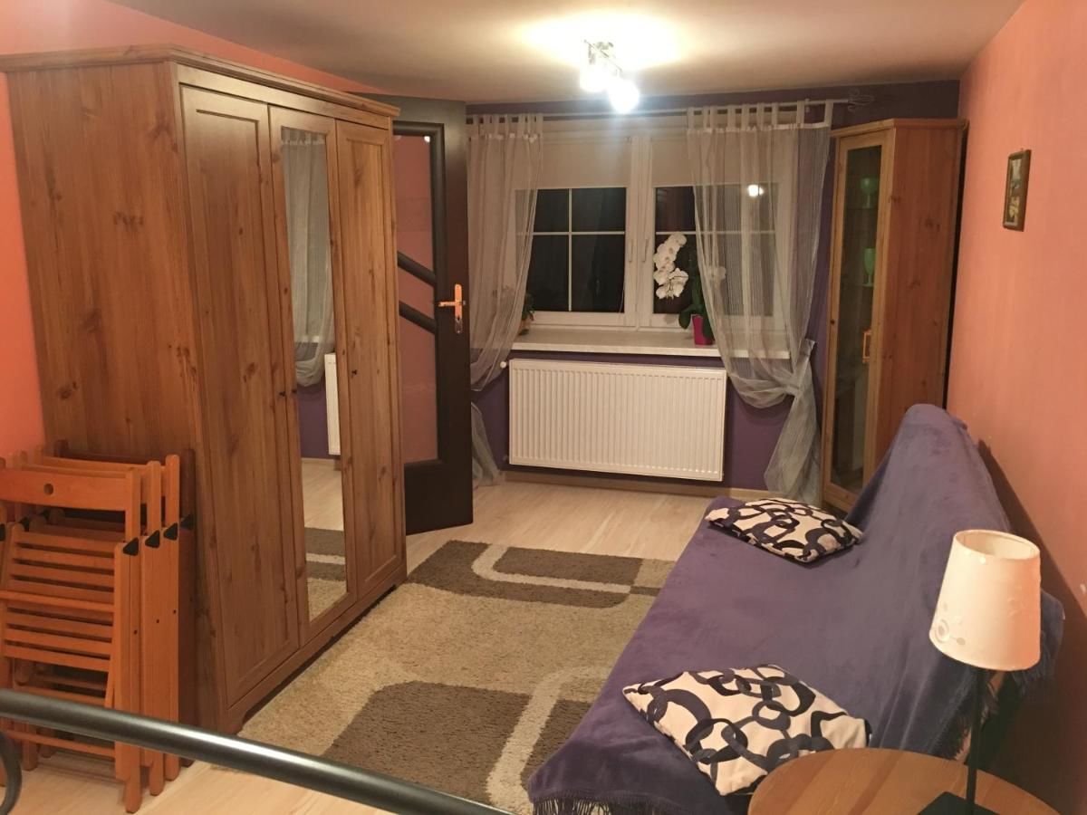 Апартаменты Apartament Stokrotka Лёндек-Здруй-26