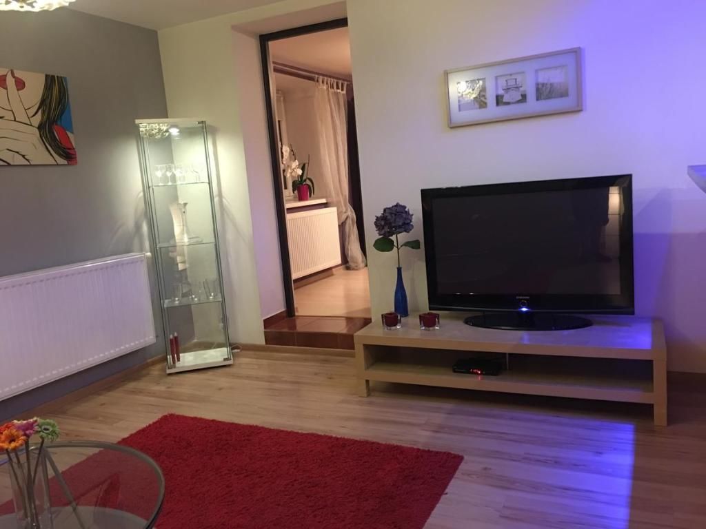 Апартаменты Apartament Stokrotka Лёндек-Здруй-44