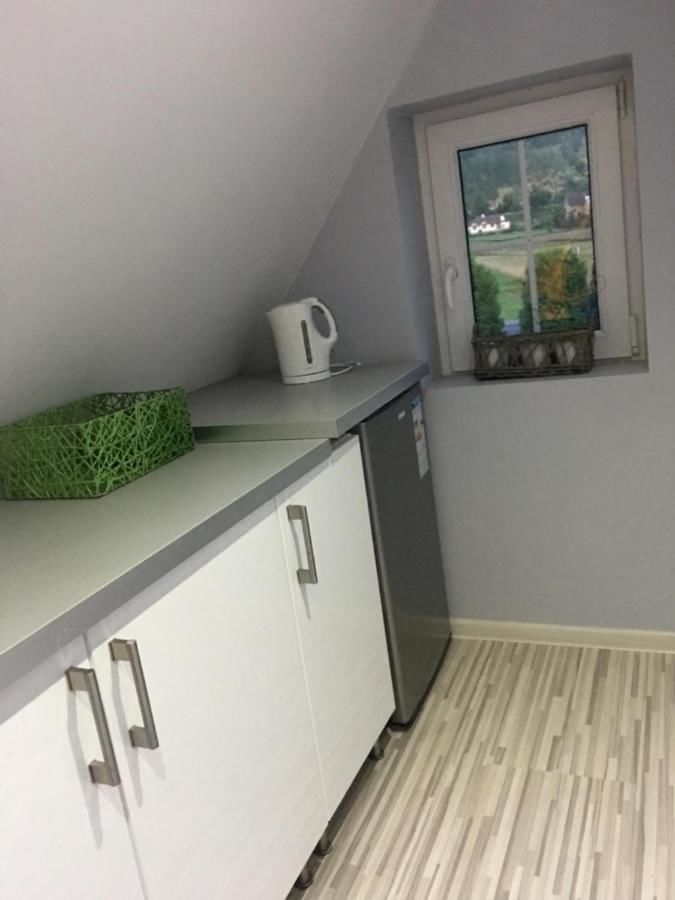 Апартаменты Apartament Stokrotka Лёндек-Здруй-12