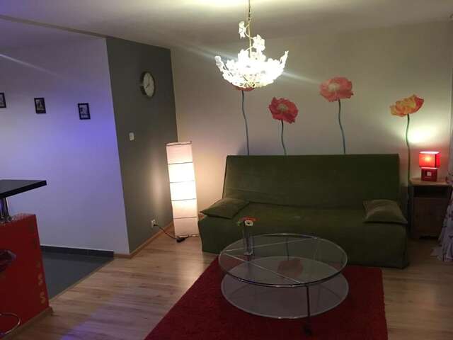 Апартаменты Apartament Stokrotka Лёндек-Здруй-41